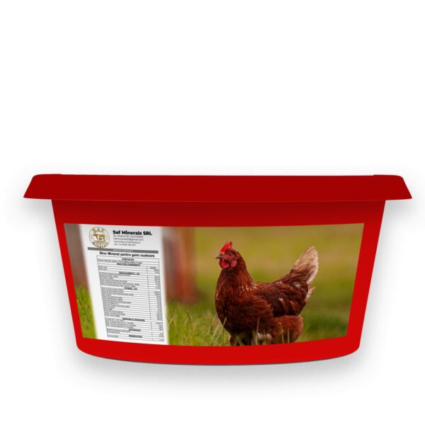 Bloc mineral pentru găini ouătoare